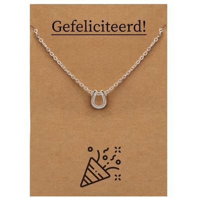 Gefeliciteerd Cadeau Ketting - Hoefijzer voor Geluk Sieraad - Zilverkleurig - Gefeliciteerd - Pax Amare