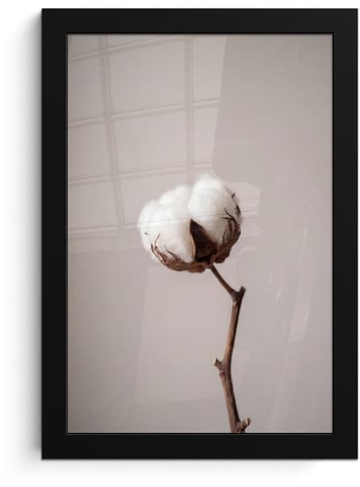 Poster in lijst - Fotolijst 20x30 cm - Posters - Katoenbol - Minimalistisch - Wit - Posterlijst zwart - Decoratie - Wanddecoratie woonkamer - Muurdecoratie slaapkamer