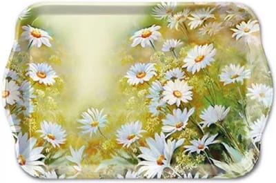 AMBIENTE TRAY MELAMINE FACING THE SUN  - DIENBLAD