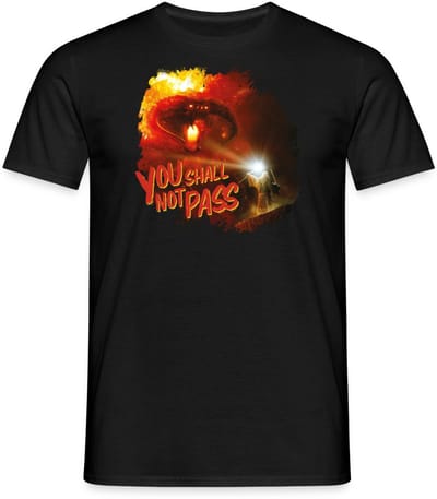The Lord Of The Rings Gandalf En De Balrog Citaat T-Shirt Heren