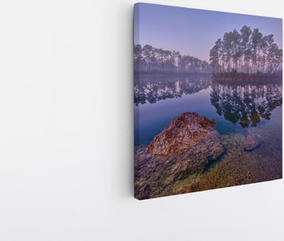 Saammp Canvas Schilderij -Bos - Zonlicht - Zomer - Landschap - Natuur - 20x20 - Foto op canvas - Wanddecoratie - Muurdecoratie Woonkamer - Slaapkamer decoratie - Canvas Print