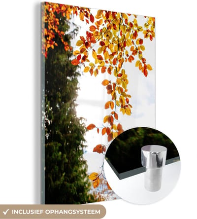 MuchoWow® Glasschilderij 30x40 cm - Schilderij acrylglas - Herfst - Bladeren - Natuur - Foto op glas - Schilderijen