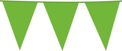 Giga Vlaggenlijn Licht Groen 30x45cm 10m - Vlaggen XL Groot thema feest festival