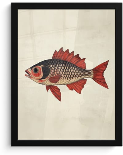 Poster in lijst - Fotolijst 30x40 cm - Posters - Schubben - Rood - Vis - Vinnen - Posterlijst zwart - Decoratie - Wanddecoratie woonkamer - Muurdecoratie slaapkamer