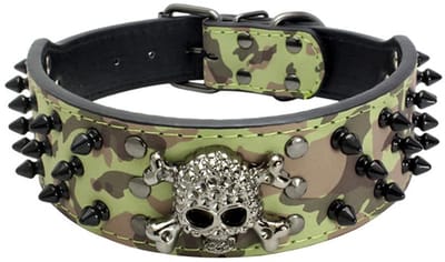 Hondenhalsband met Skelet Nieten, Verstelbaar en van Faux Leer - Crocodile Look voor Middelgrote en Kleine Honden