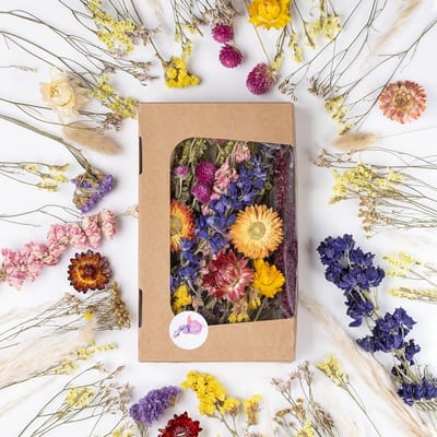 Set Gedroogde Bloemen voor Knutselen en Decoratie in Natuurlijke Tinten