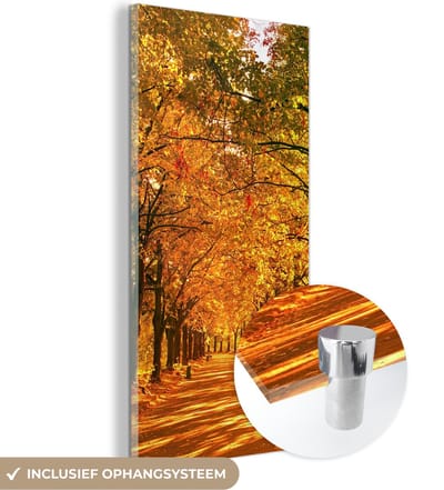 MuchoWow® Glasschilderij 20x40 cm - Schilderij acrylglas - Bos - Herfst - Seizoenen - Landelijk - Foto op glas - Schilderijen