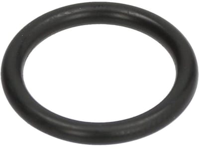 Saeco O-ring D=17mm. SUP038, HD8943, HD8954 12000620