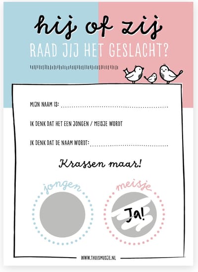 Thuismusje Gender reveal kraskaarten jongen of meisje - 10 Stuks - A6 formaat