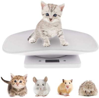 Digitale Weegschaal - Mini Weegschaal - Kleine Dieren Wegen - Hoge Nauwkeurigheid - 10kg 1g - Wit
