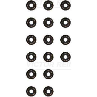 Victor Reinz Pakkingset, klepsteel REINZ 12-17930-01