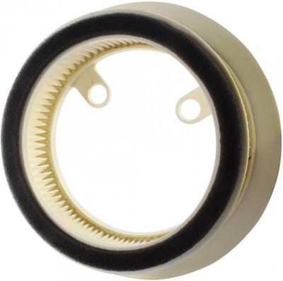 Luchtfilter Filtrex voor scooter Yamaha 530 T-Max 2012 tot 2016 5GJ-15408-00 Nieuw