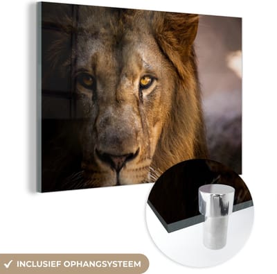 MuchoWow® Glasschilderij 60x40 cm - Schilderij acrylglas - Leeuwen - Profiel - Kleuren - Foto op glas - Schilderijen