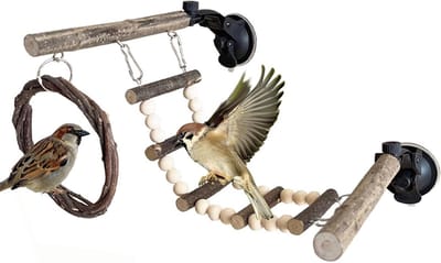 Vogel Touw Ladder - Zitstok Klimtouw - Vogel Verrijking - Zuignap Bevestiging - 24.4L x 18.8B x 8.4H cm - N.v.t.