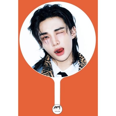 Stray Kids × ApopGong(DIT & DAT)exclusieve IMAGE PICKET A versie Hyunjin black
