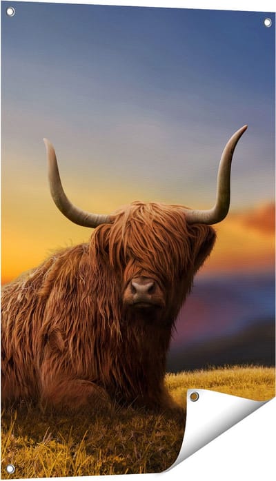 Gards Tuinposter Schotse Hooglander Koe op een Heuvel - 60x90 cm - Tuindoek - Tuindecoratie - Wanddecoratie buiten - Tuinschilderij