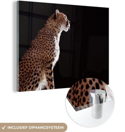 MuchoWow® Glasschilderij 160x120 cm - Schilderij acrylglas - Cheeta - Dieren - Licht - Foto op glas - Schilderijen