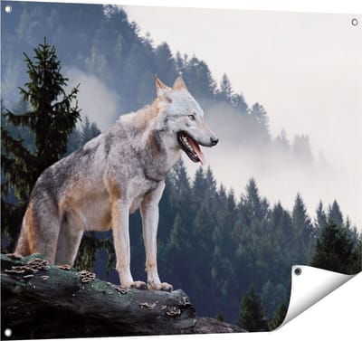 Gards Tuinposter Grijze Wolf in de Bossen - 100x80 cm - Tuindoek - Tuindecoratie - Wanddecoratie buiten - Tuinschilderij
