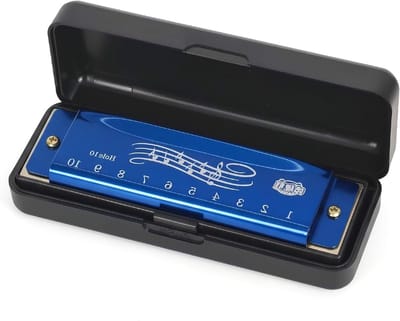 Diatonische Blues Harmonica met 10 Gaten en Pouch voor Beginners, Volwassenen en Kinderen - Ideaal voor Muziekliefhebbers en Professionals