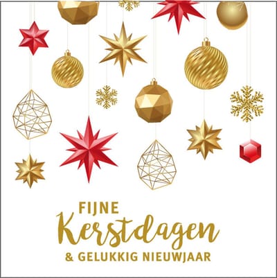 Luxe Kerst Kaartjes - 20 stuks - Cadeau kaartjes- 7 x 7 cm - Met boorgaatje - Fijne kerstdagen