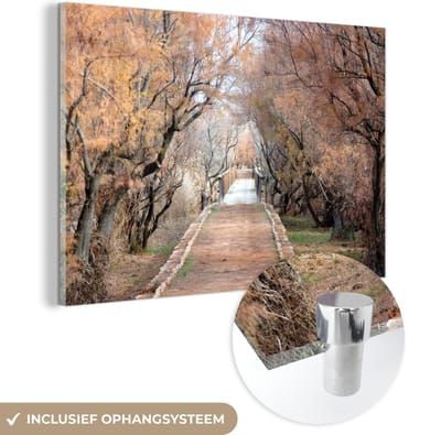 ® Glasschilderij 180x120 cm - Schilderij acrylglas - Weg in het winterse landschap van het Nationaal park Tablas de Daimiel - Foto op glas - Muurdecoratie woonkamer - Wanddecoratie slaapkamer - Schilderijen