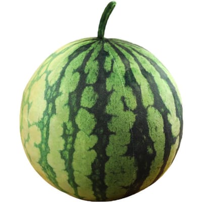 Kawaii Watermeloen Pluche Pop Kussen Levensgetrouwe Ovalen Vorm Knuffel Voor Huisdecoratie Leuk Knuffelcadeau Voor Jongens Meisjes 8cm pentant