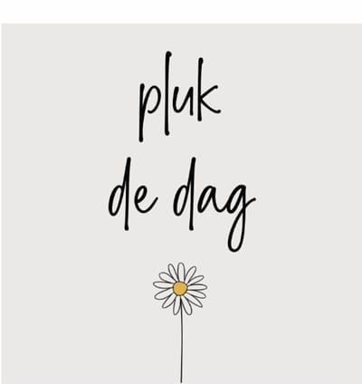PLUK DE DAG | tegeltje van forex | 13 x 13 cm | met haakje