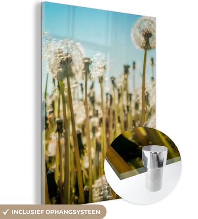 MuchoWow® Glasschilderij 30x40 cm - Schilderij acrylglas - Bloemen - Paardenbloem - Grasveld - Foto op glas - Schilderijen