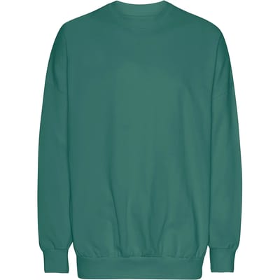 Oversized sweatshirt Tiger