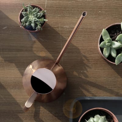 Huishoudelijke Roestvrijstalen Gieter Pot Tuin Groene Plant Bloem Gieter Ketel Brons Type 1 brown