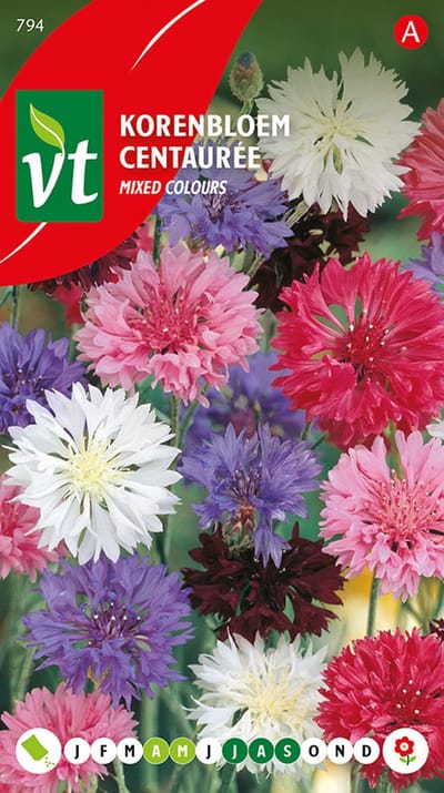 Korenbloemzaden - Goede Snijbloem Voor Boeket Veldbloemen
