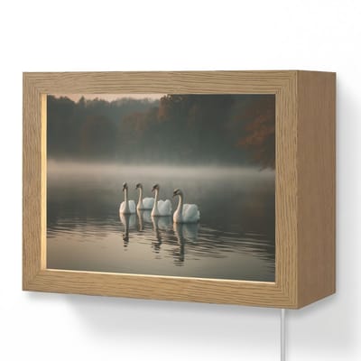 Wandlamp 20x15 cm - Oplaadbaar - Zwanen - Wit - Water - Mist - Wandlampen binnen woonkamer - Slaapkamer lamp met kabel - Decoratieve nachtlamp - Vloerlamp snoer