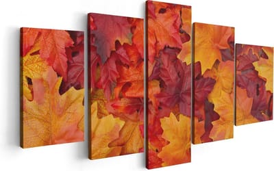 Artaza Canvas Schilderij Vijfluik Herfstbladeren in het Oranje en Rood - 100x50 - Foto Op Canvas - Canvas Print