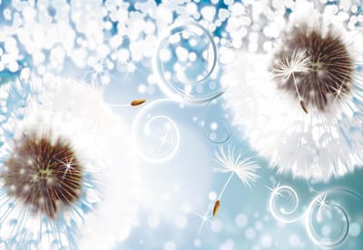 Fotobehang Dandelion Abstract Blue | XL - 208cm x 146cm | 130g/m2 Vlies