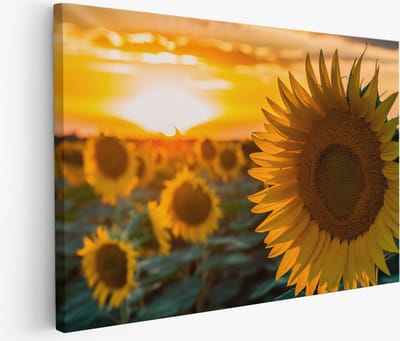 Saammp Muurcirkel Hout - Kleurrijke Bloemen - Abstract - Botanisch - Ø 90 - Canvas Decor - Woonkamer Wanddecoratie Cirkel - Muurkunst Kantoor