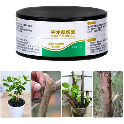 50 g de mastic cicatrisant pour plantes, agent cicatrisant pour bonsaïs, pâte d'élagage pour arbres black