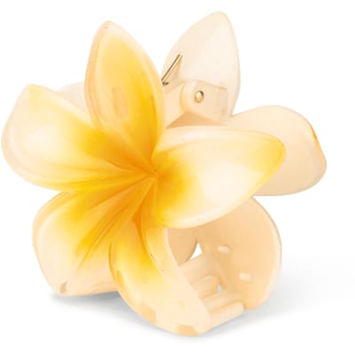 Sui Ava Plumeria Hawaii Big Light Yellow 1 st