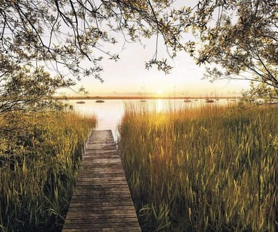 Fotobehang - Lakeside 300x250cm - Vliesbehang