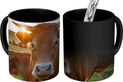 Magische Mok - Foto op Warmte Mokken - Koffiemok - Koeien - Zon - Weiland - Platteland - Magic Mok - Beker - 350 ML - Theemok