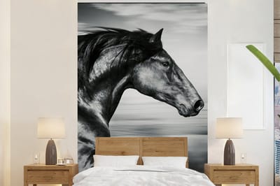 Behang - Fotobehang Paard - Dieren - zwart - Wit - Breedte 225 cm x hoogte 350 cm