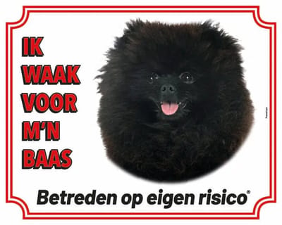 Pomeriaan Zwart Waakbord