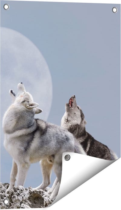 Gards Tuinposter Twee Wolven Die Huilen tijdens Volle Maan - 40x60 cm - Tuindoek - Tuindecoratie - Wanddecoratie buiten - Tuinschilderij