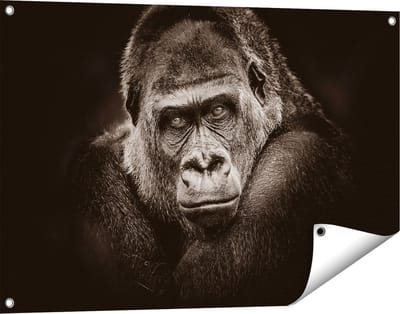 Gards Tuinposter Gorilla - Zwart Wit - 90x60 cm - Tuindoek - Tuindecoratie - Wanddecoratie buiten - Tuinschilderij
