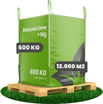 Kalk Korrel meststof verrijkt met magnesium (Bigbag  600Kg - Voor 12000m2) voor dieper bladgroen (+PH) Speciaal voor gazon, Perken, Moestuin en openbaar groen - Organifer