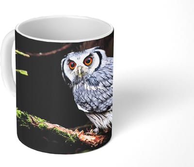 Mok - Koffiemok - Uil - Vogel - Takken - Natuur - Mokken - 350 ML - Beker - Koffiemokken - Theemok
