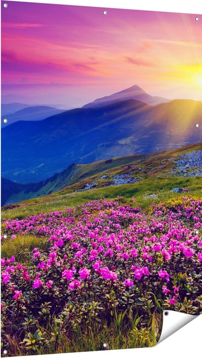 Gards Tuinposter Roze Rhododendron Bloemenveld - Bergen - 100x150 cm - Tuindoek - Tuindecoratie - Wanddecoratie buiten - Tuinschilderij