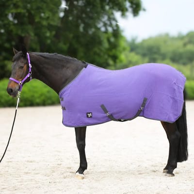 Paardendeken York Santi