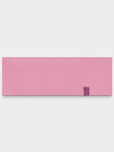 Poederbaas Hoofdband Arctic Roze