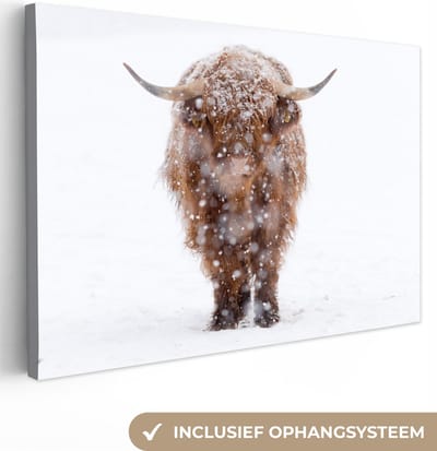 Canvas Schilderij Schotse hooglander - Koe - Sneeuw - 90x60 cm - Wanddecoratie