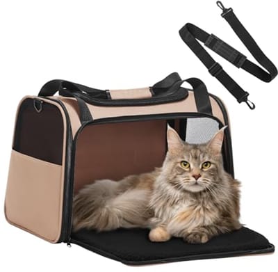 Transportbox voor Kleine Honden en Katten - Opvouwbare Draagtas met Veiligheidsriem en Uitbreidbare Mat